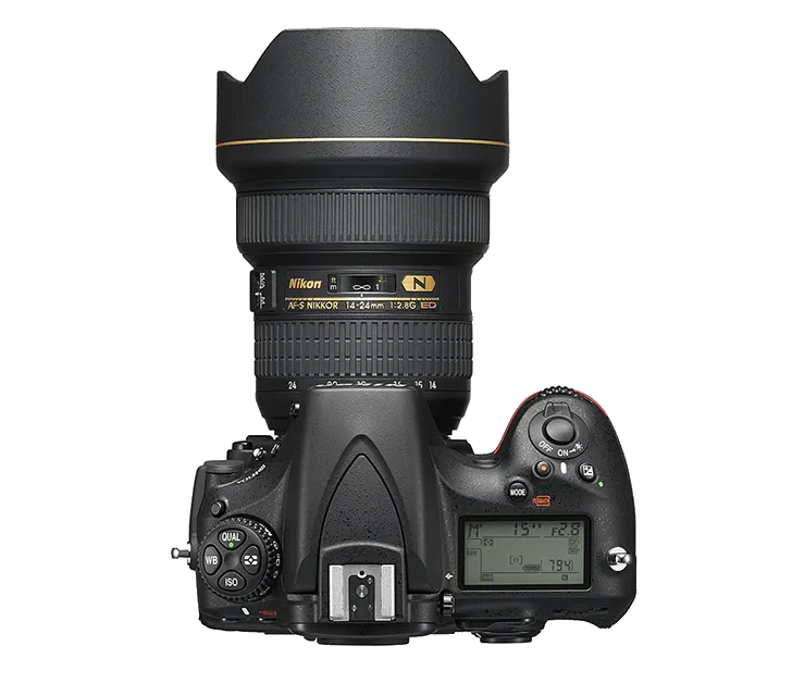 D810A
